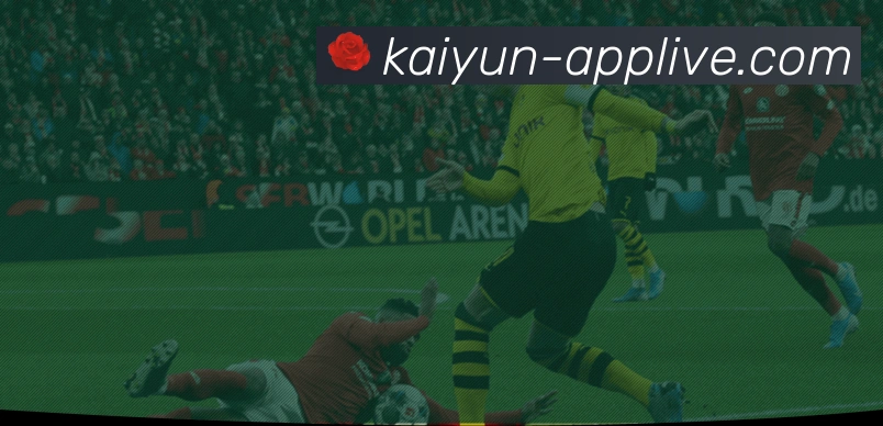 开云平台展示图